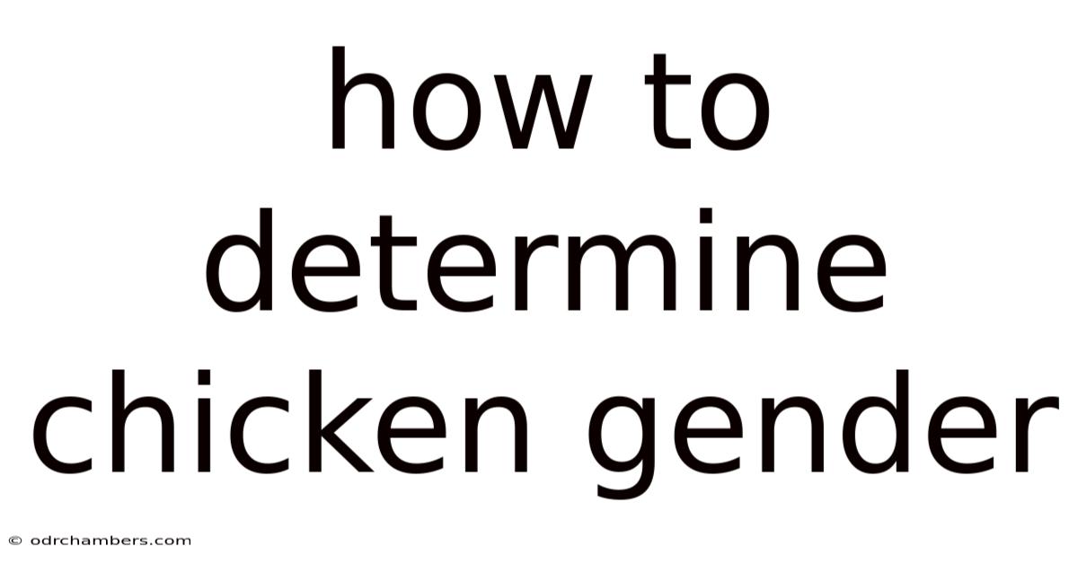 How To Determine Chicken Gender