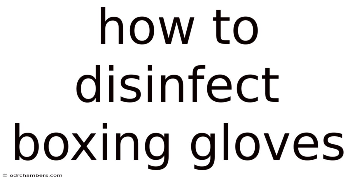 How To Disinfect Boxing Gloves