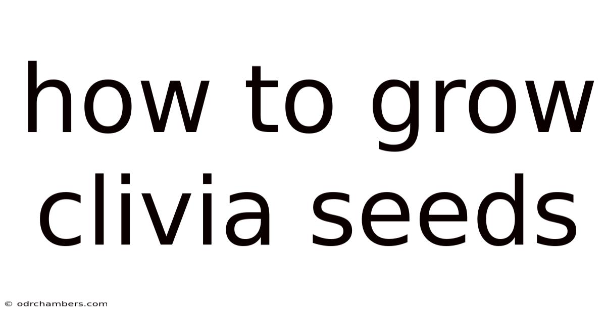 How To Grow Clivia Seeds