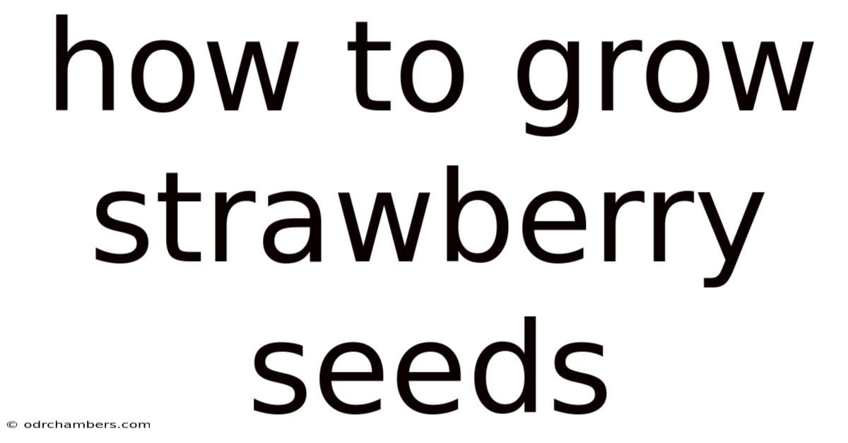 How To Grow Strawberry Seeds