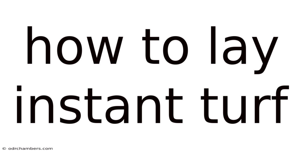 How To Lay Instant Turf