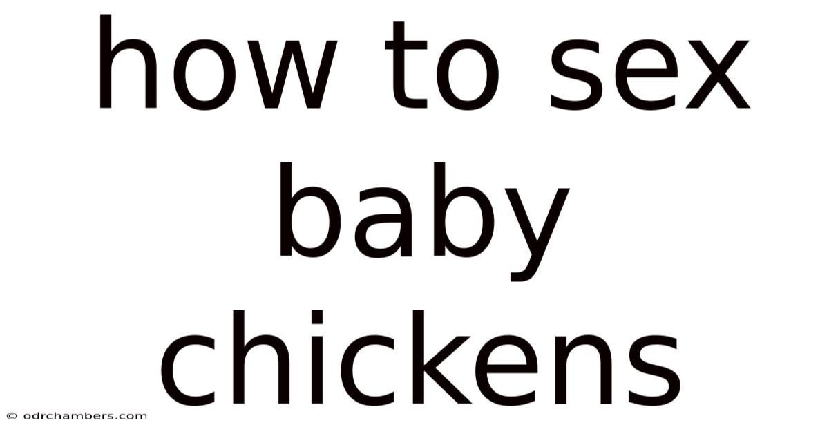 How To Sex Baby Chickens