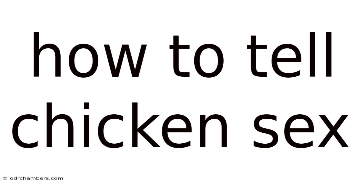 How To Tell Chicken Sex