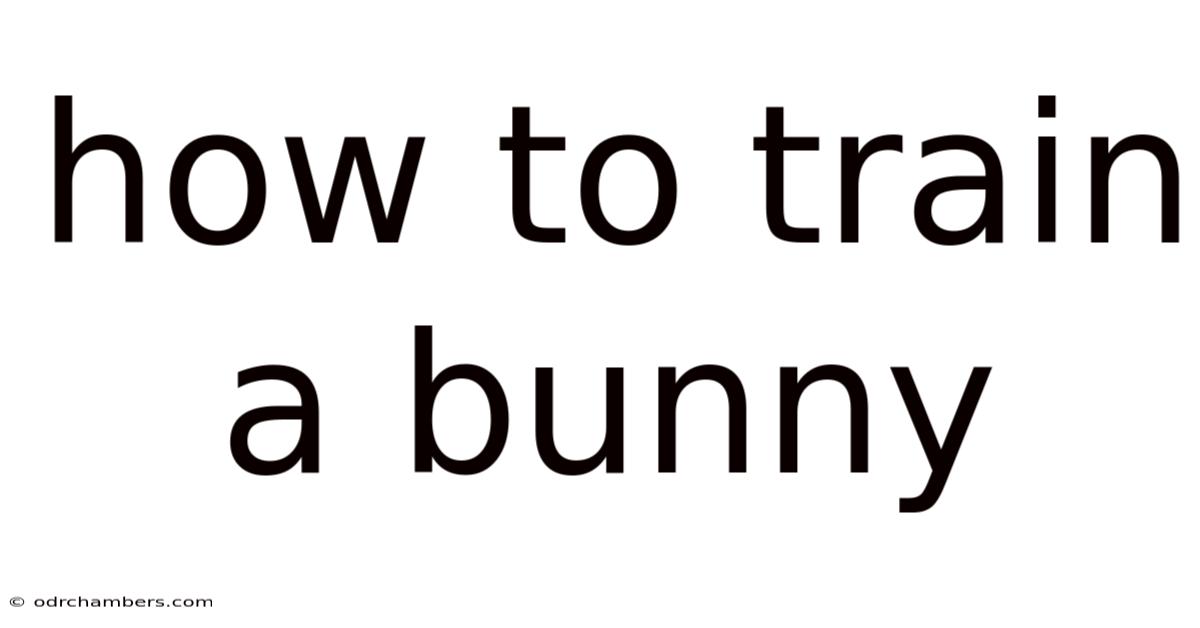 How To Train A Bunny
