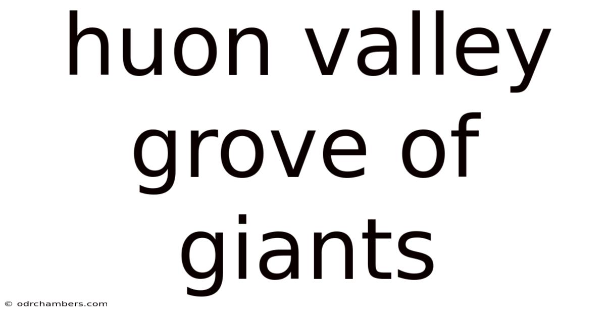 Huon Valley Grove Of Giants