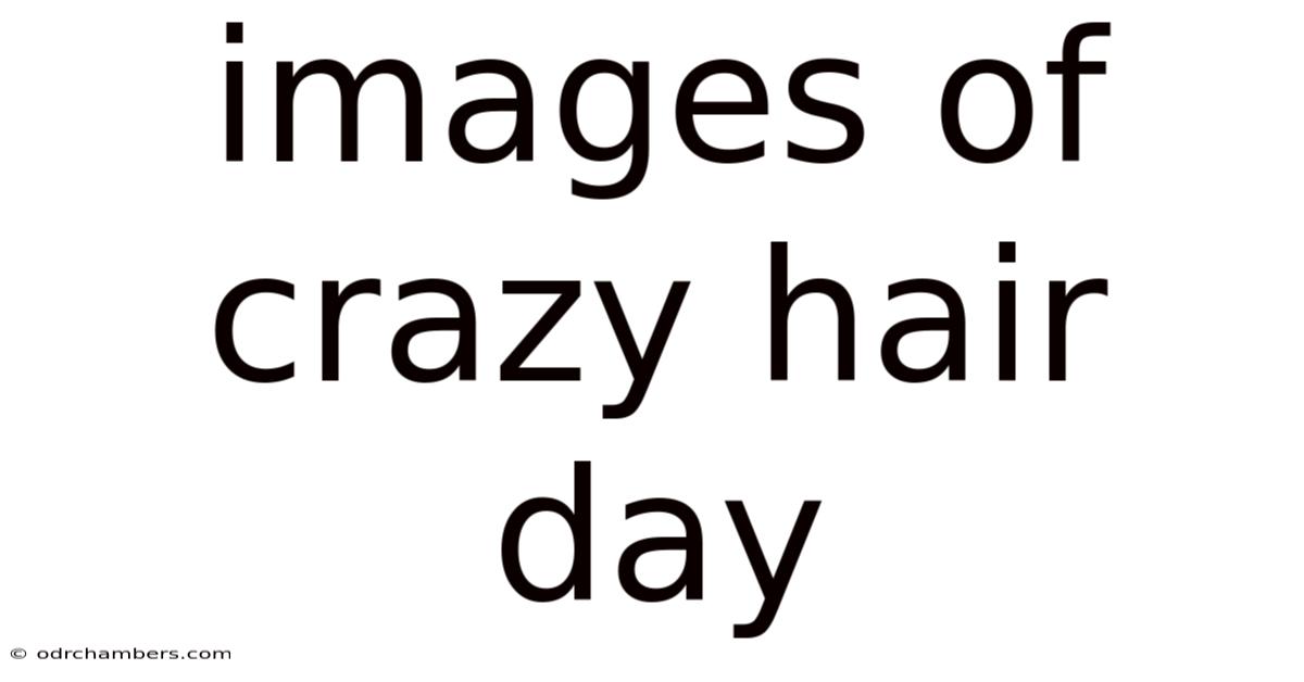 Images Of Crazy Hair Day