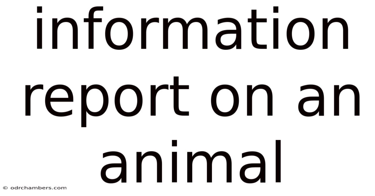 Information Report On An Animal