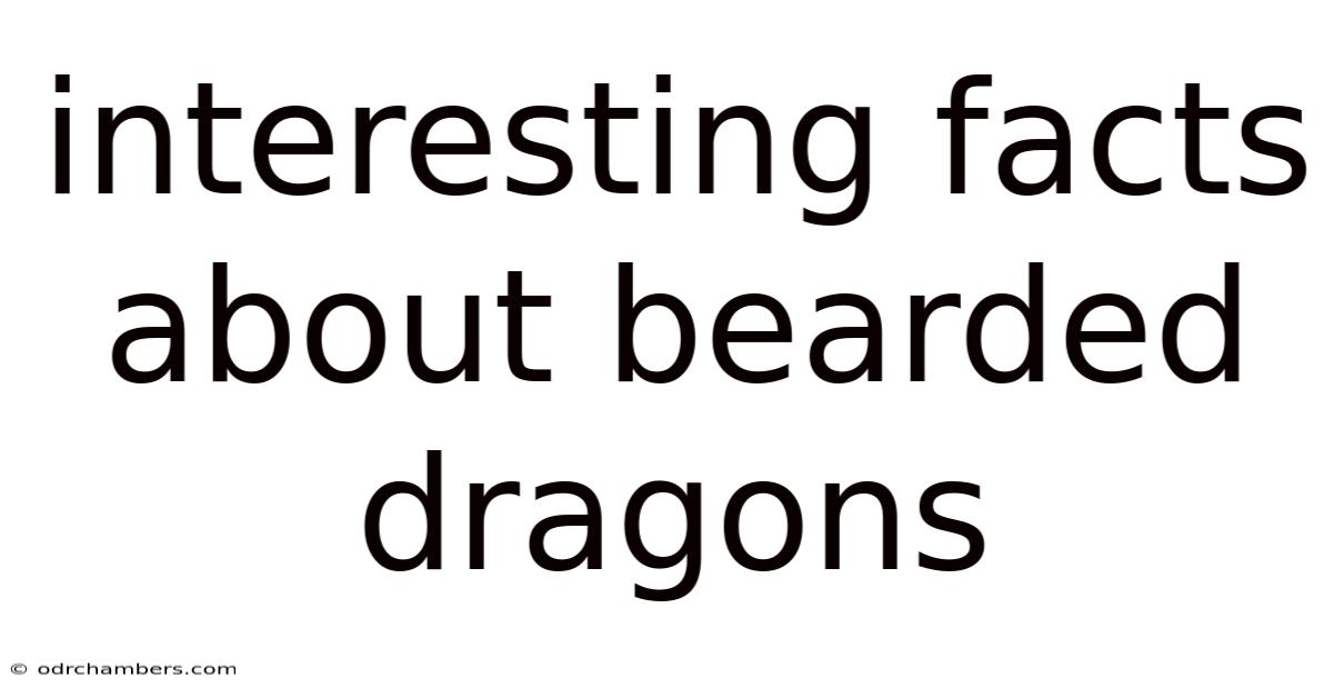Interesting Facts About Bearded Dragons