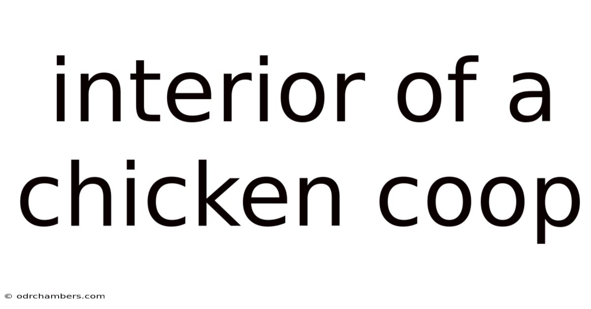 Interior Of A Chicken Coop