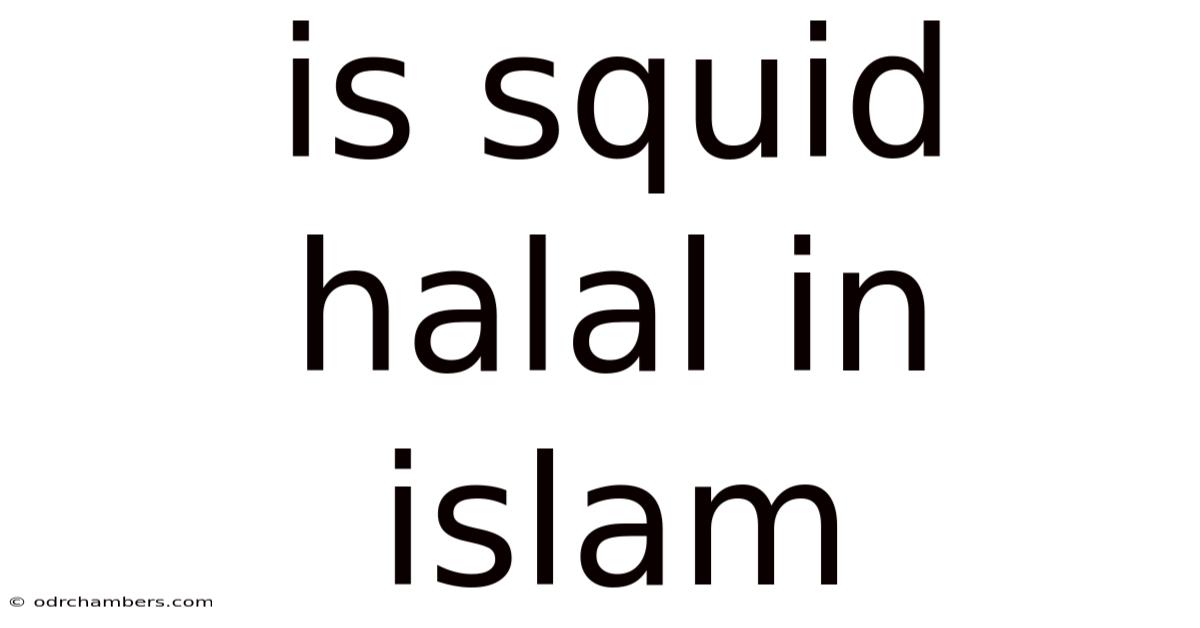 Is Squid Halal In Islam