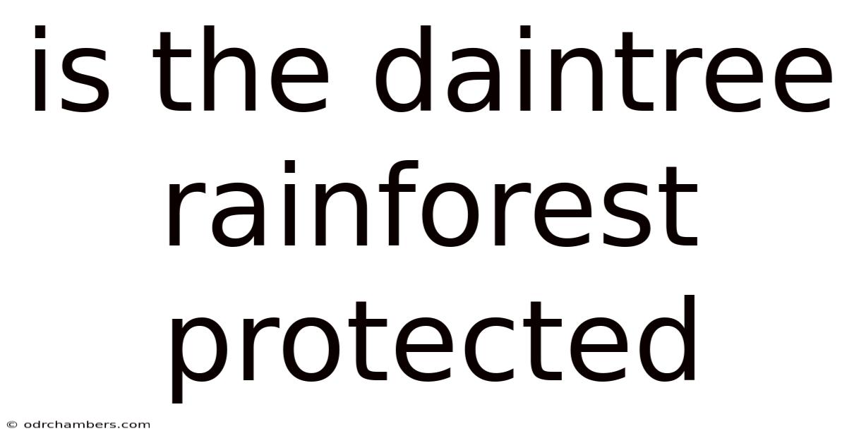 Is The Daintree Rainforest Protected