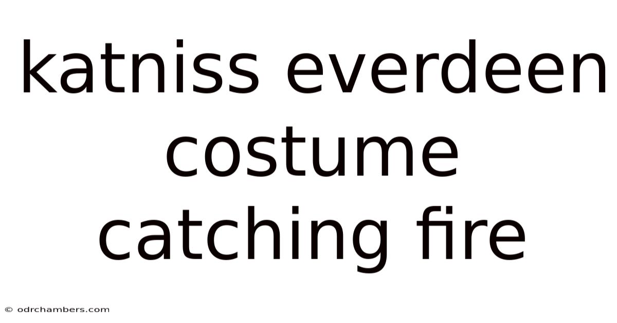 Katniss Everdeen Costume Catching Fire