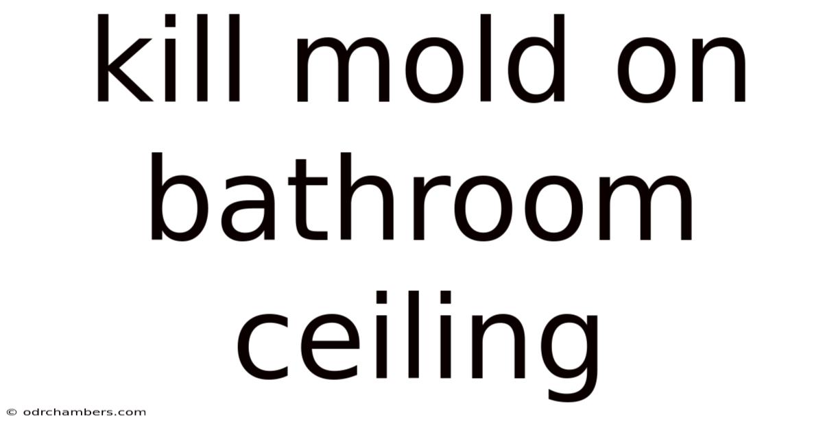 Kill Mold On Bathroom Ceiling