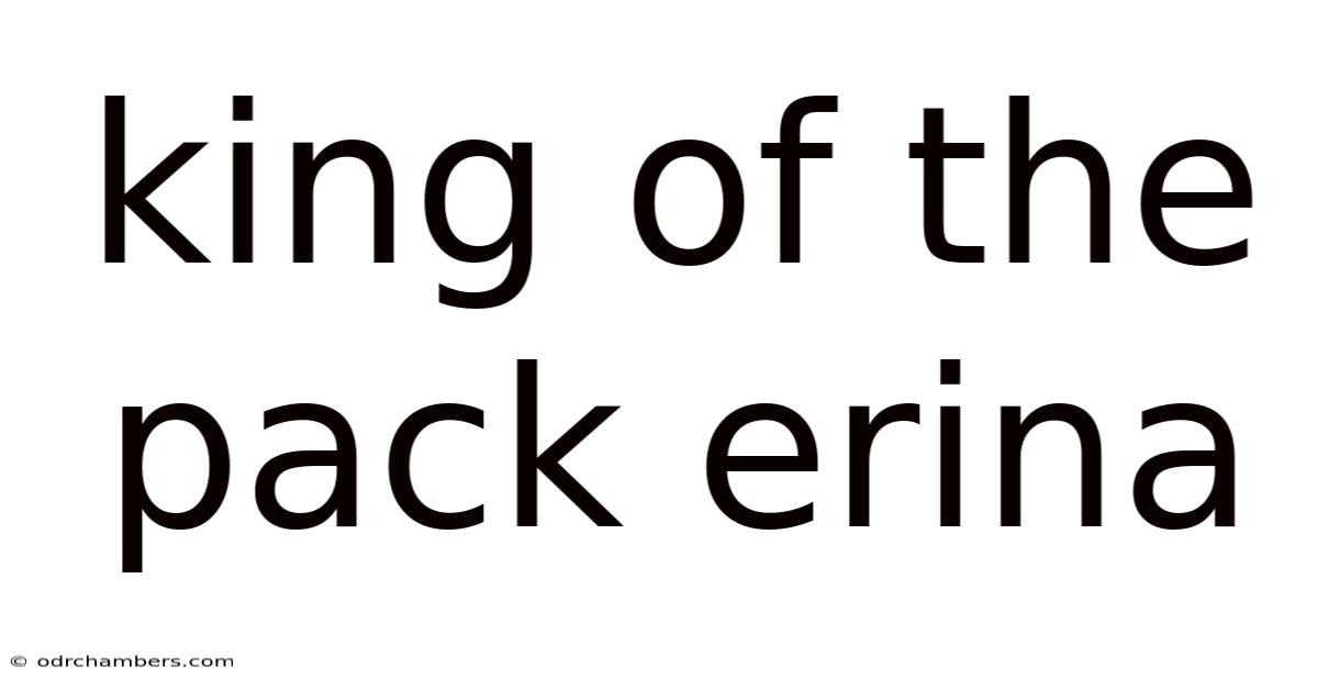 King Of The Pack Erina
