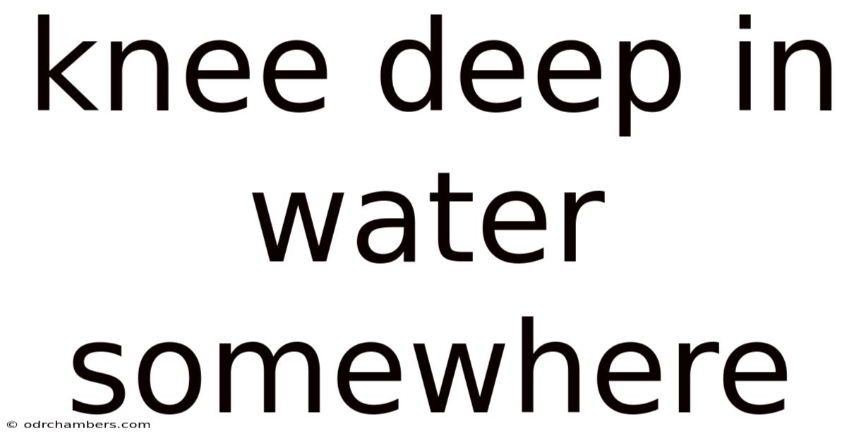 Knee Deep In Water Somewhere