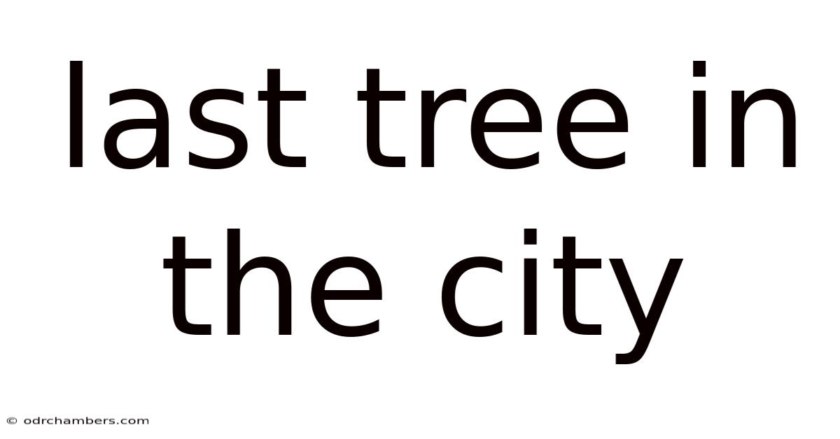 Last Tree In The City