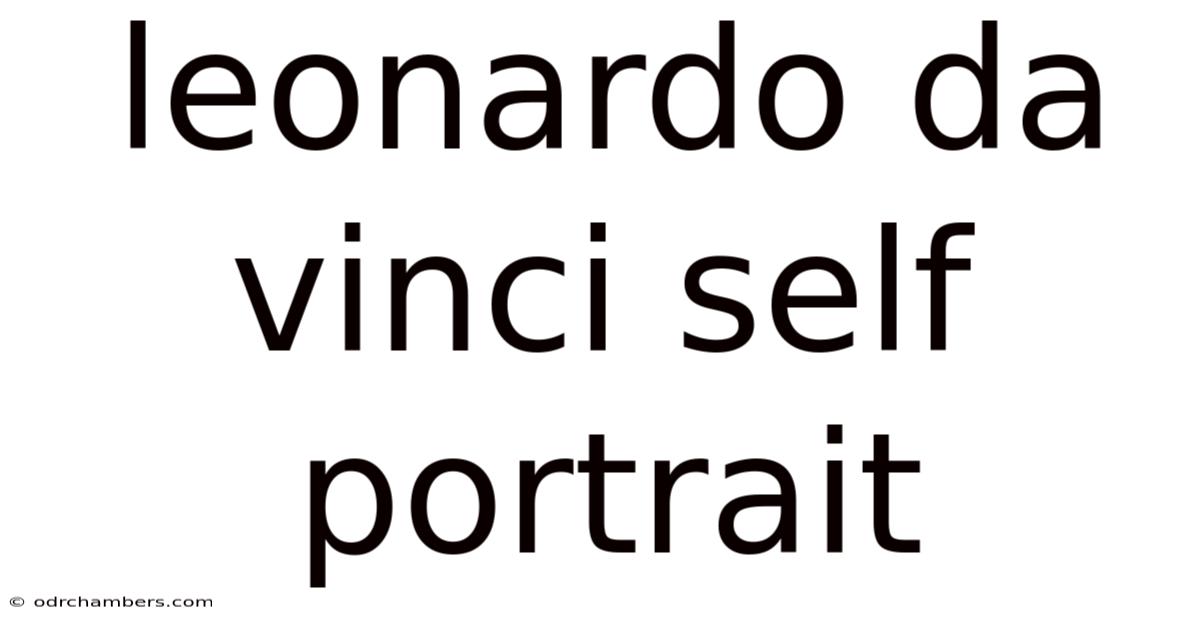 Leonardo Da Vinci Self Portrait
