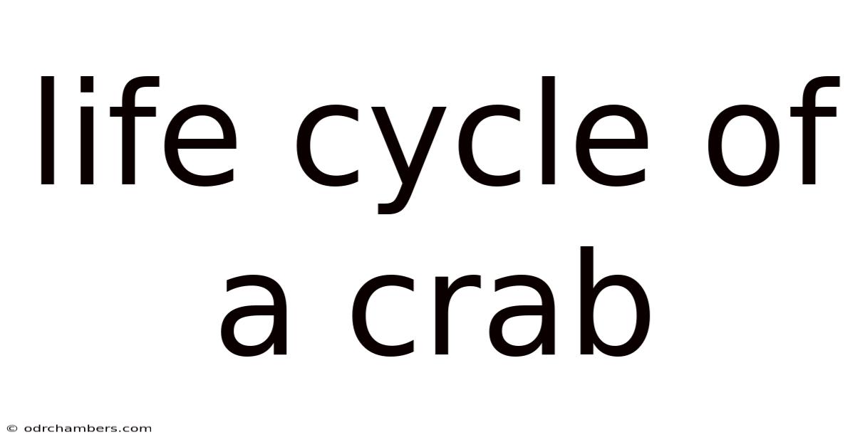 Life Cycle Of A Crab