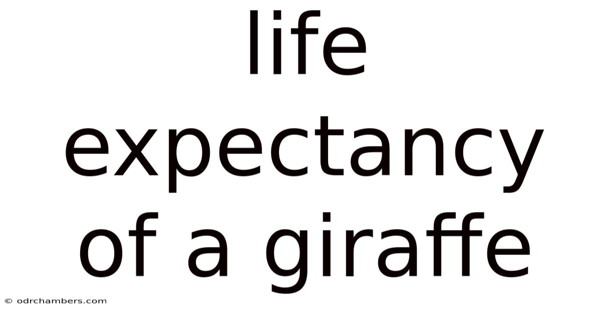 Life Expectancy Of A Giraffe