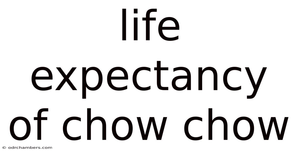 Life Expectancy Of Chow Chow