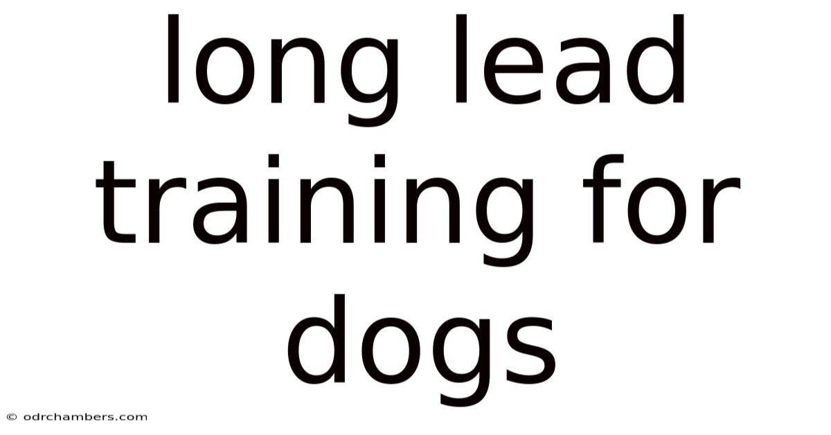 Long Lead Training For Dogs