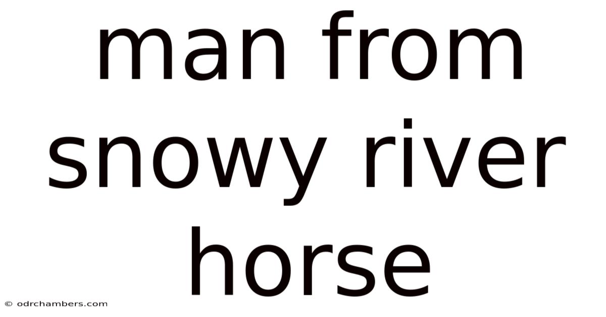 Man From Snowy River Horse