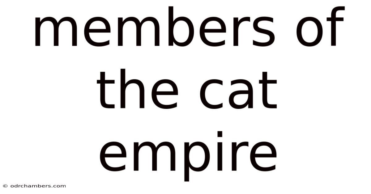 Members Of The Cat Empire
