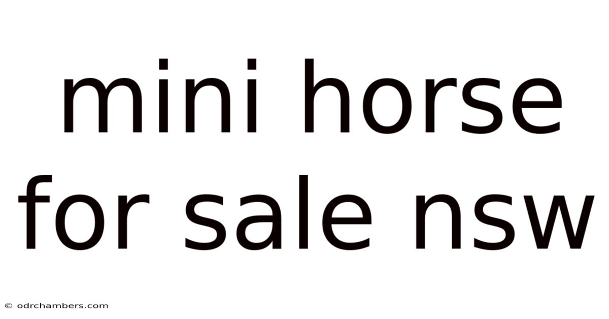 Mini Horse For Sale Nsw