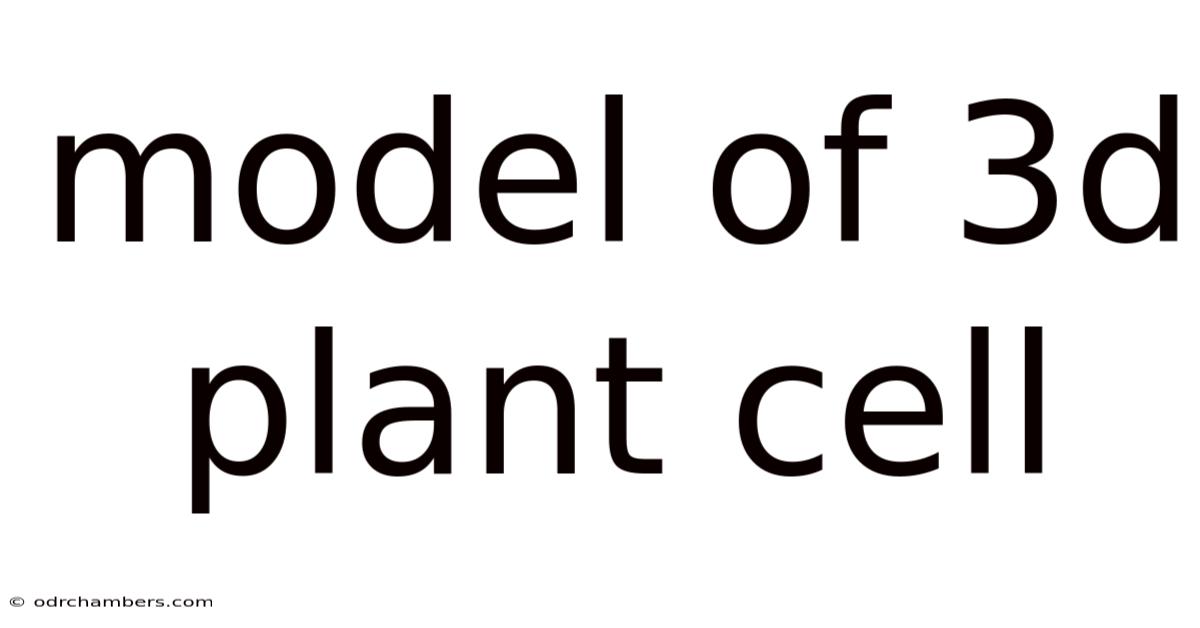 Model Of 3d Plant Cell
