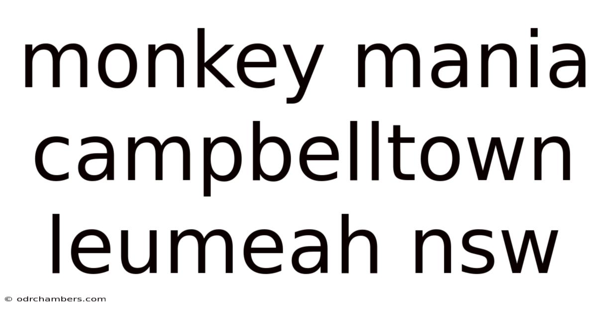 Monkey Mania Campbelltown Leumeah Nsw