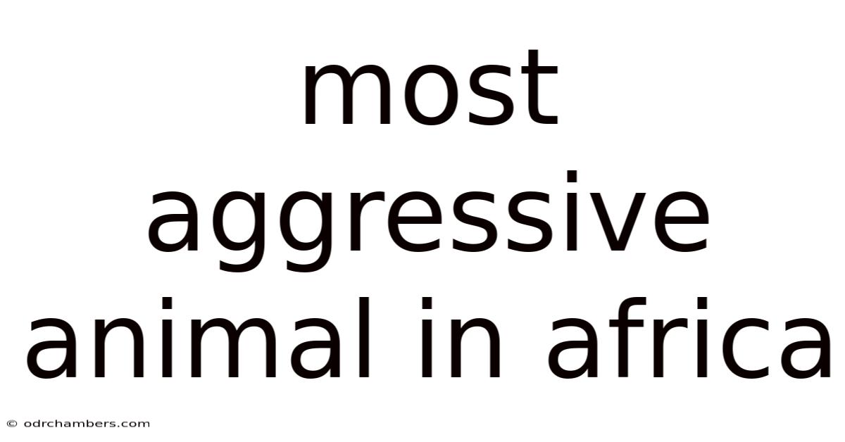 Most Aggressive Animal In Africa