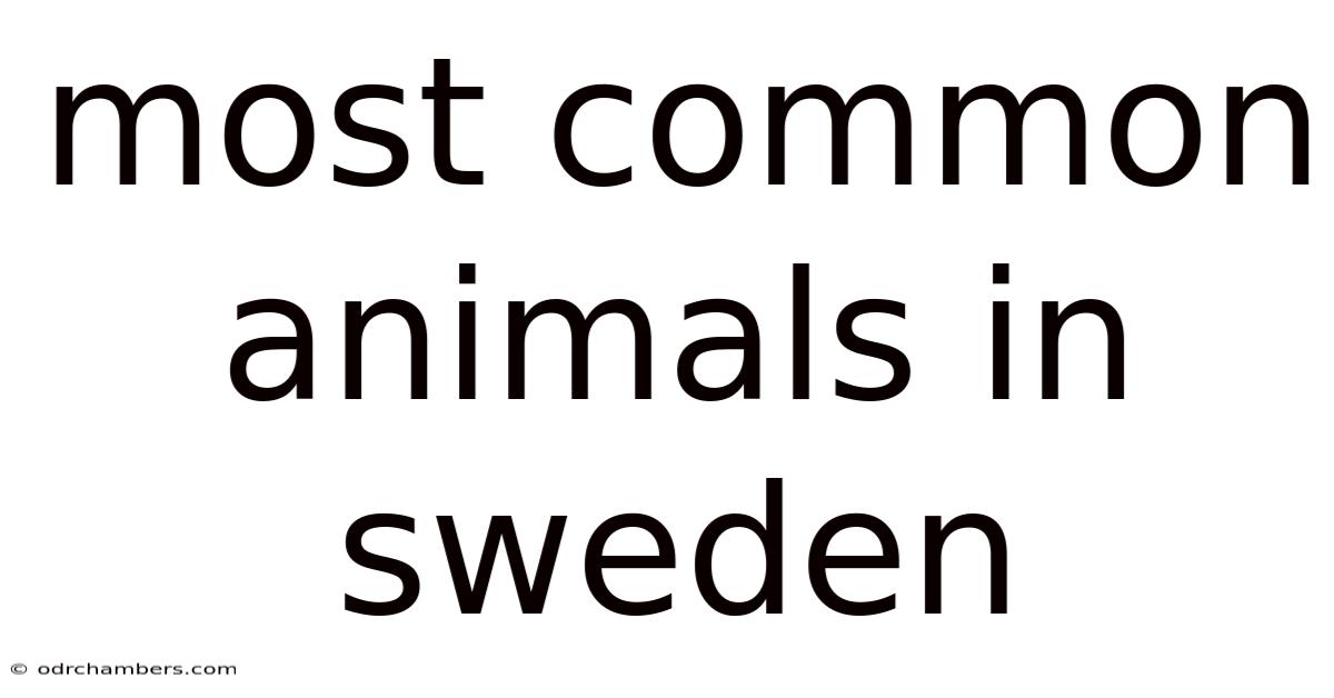 Most Common Animals In Sweden