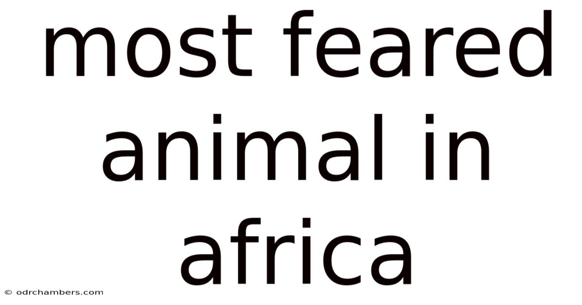 Most Feared Animal In Africa