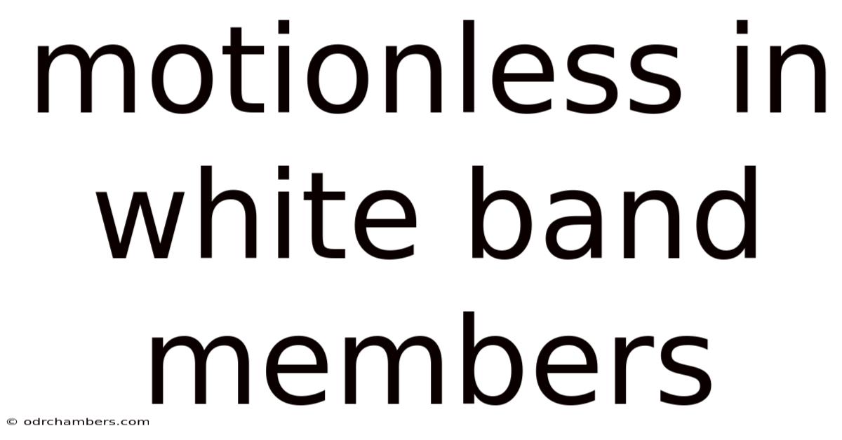 Motionless In White Band Members