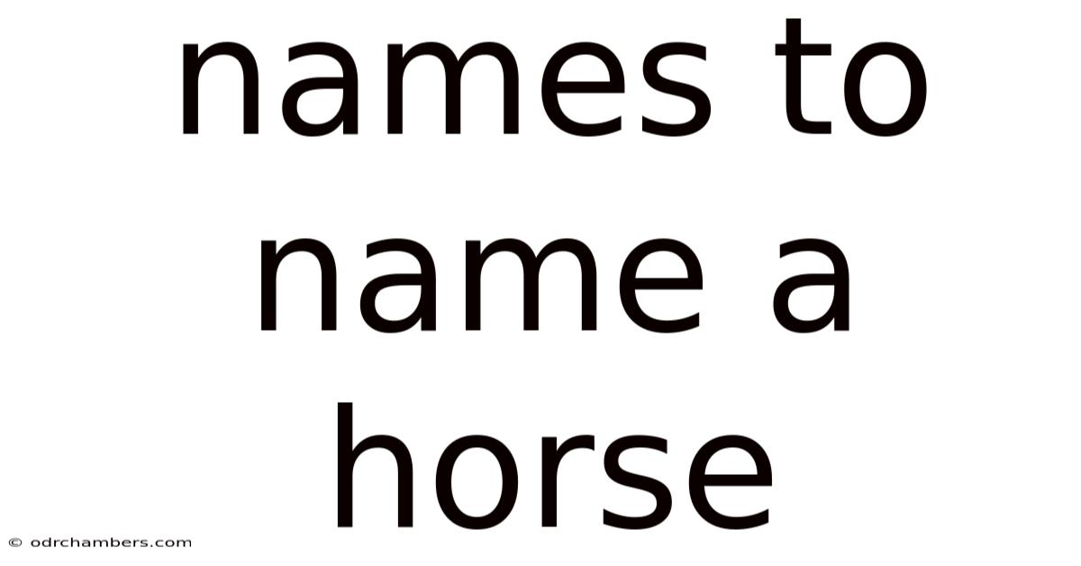Names To Name A Horse