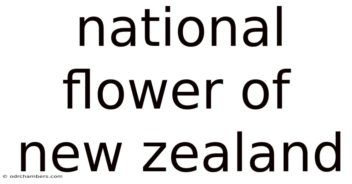 National Flower Of New Zealand