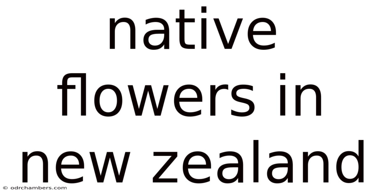 Native Flowers In New Zealand