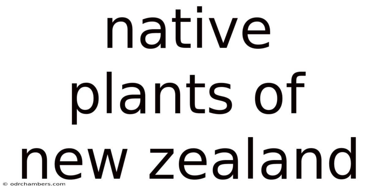 Native Plants Of New Zealand