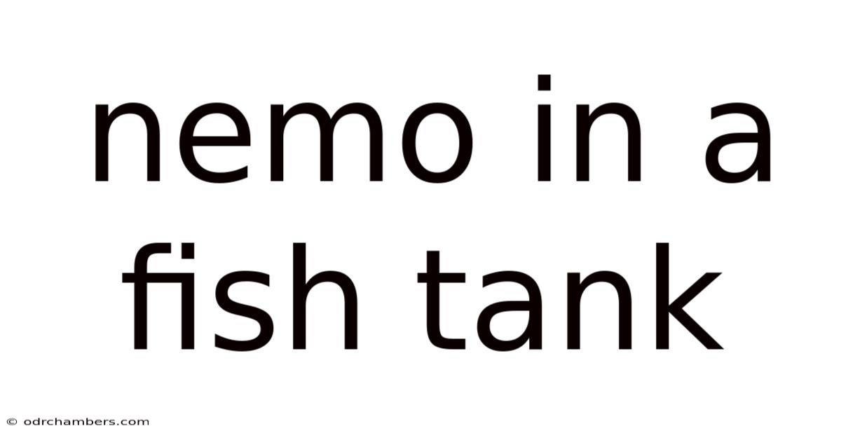 Nemo In A Fish Tank