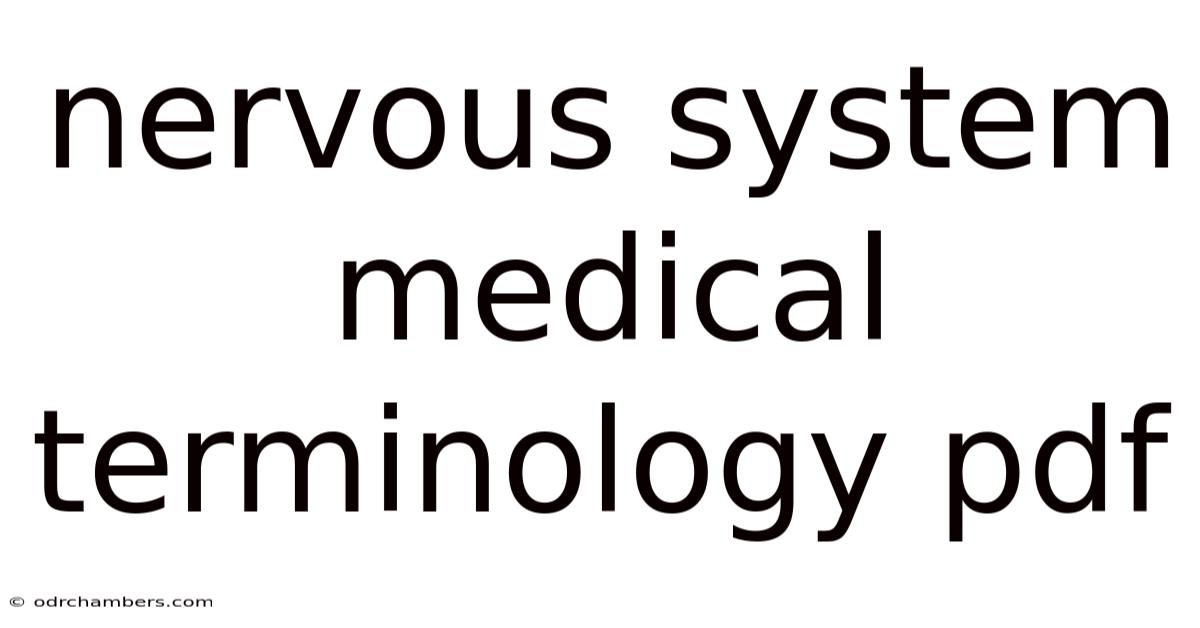 Nervous System Medical Terminology Pdf