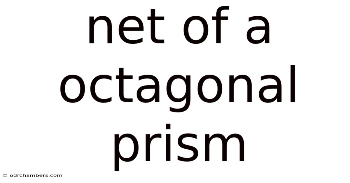Net Of A Octagonal Prism