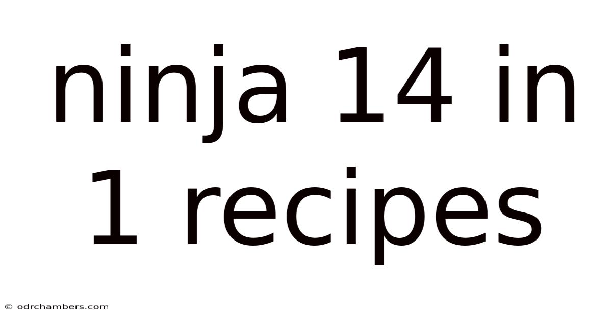 Ninja 14 In 1 Recipes
