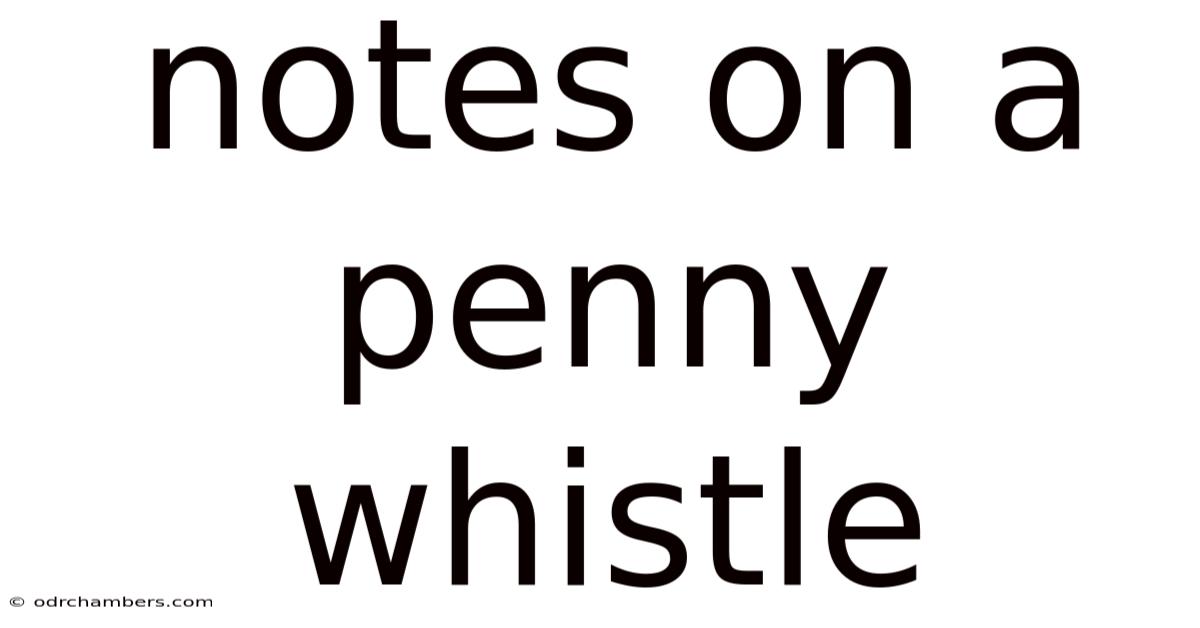 Notes On A Penny Whistle