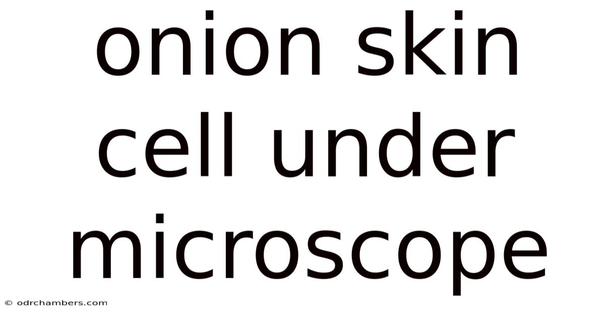 Onion Skin Cell Under Microscope