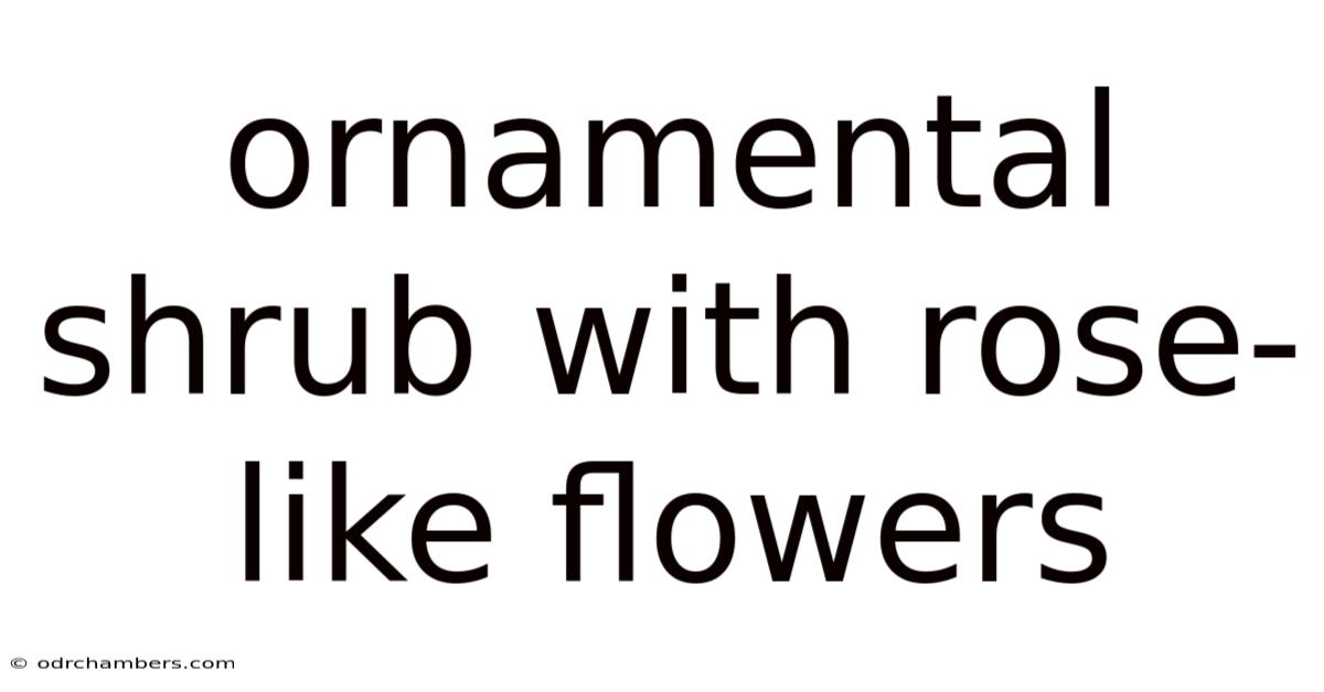 Ornamental Shrub With Rose-like Flowers