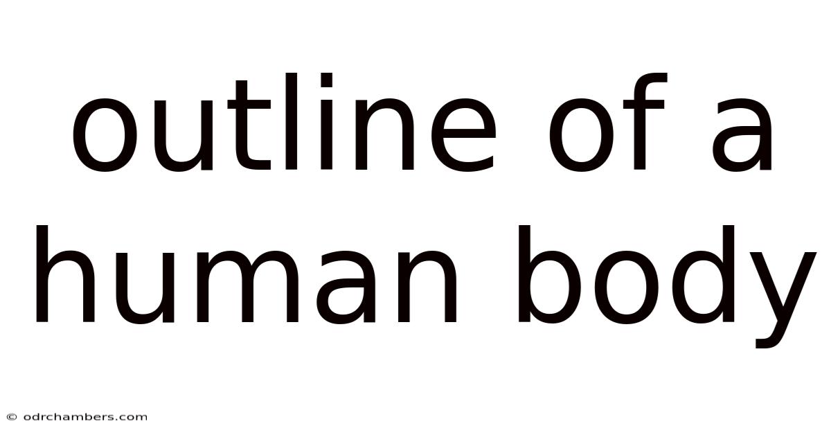 Outline Of A Human Body