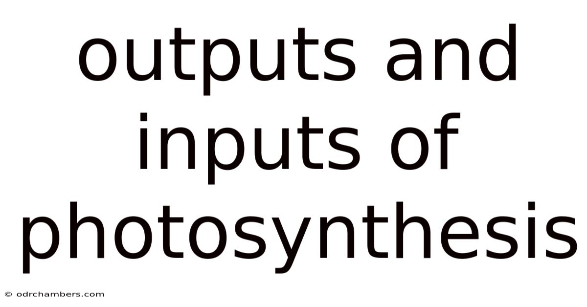 Outputs And Inputs Of Photosynthesis