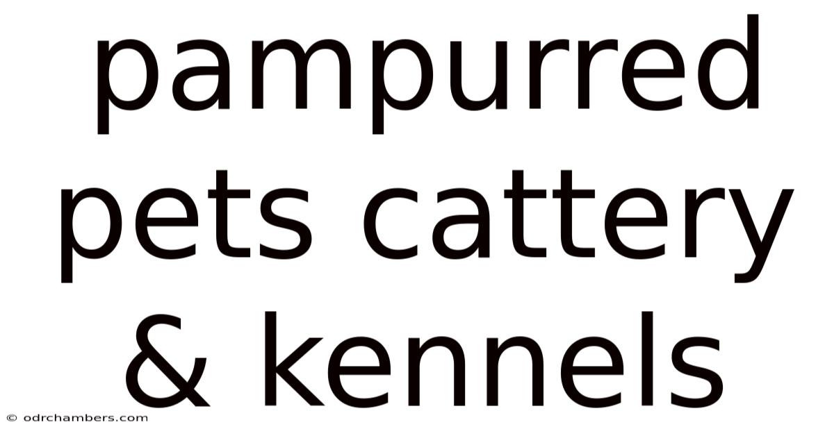 Pampurred Pets Cattery & Kennels