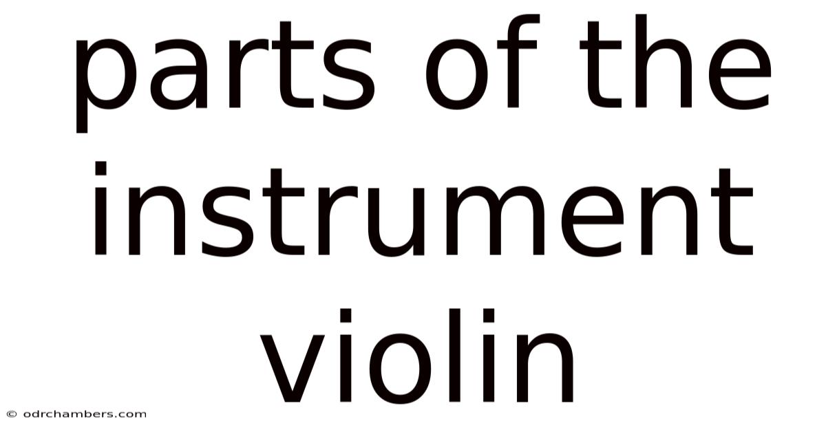 Parts Of The Instrument Violin