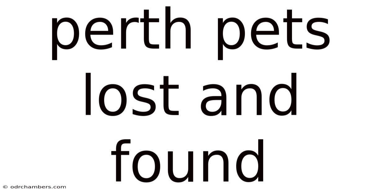 Perth Pets Lost And Found